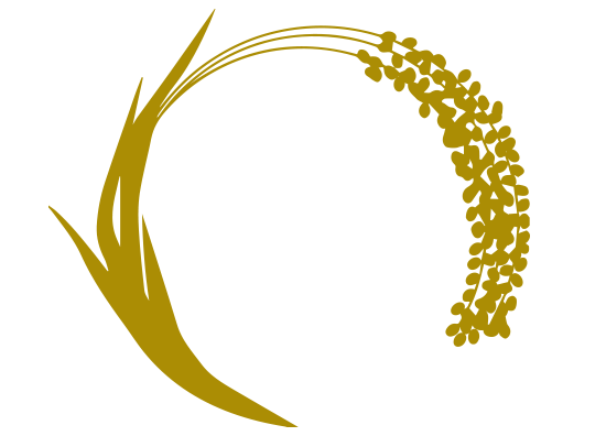 トランスポートジン